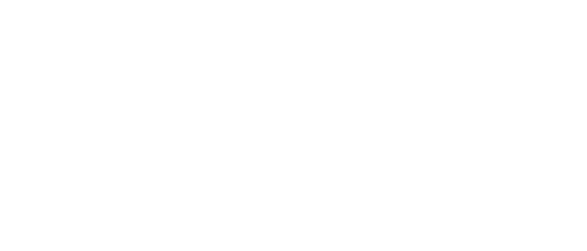 甲维思 JAVIS
